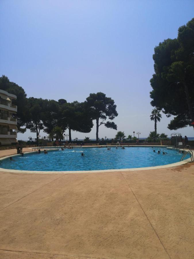 Apartment Frente Al Mar *